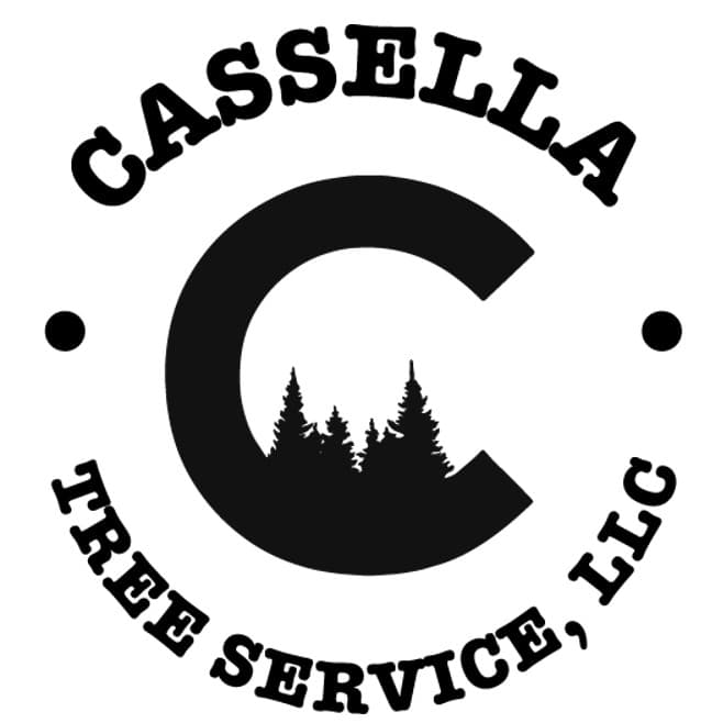 Cassella Tree Service LLC